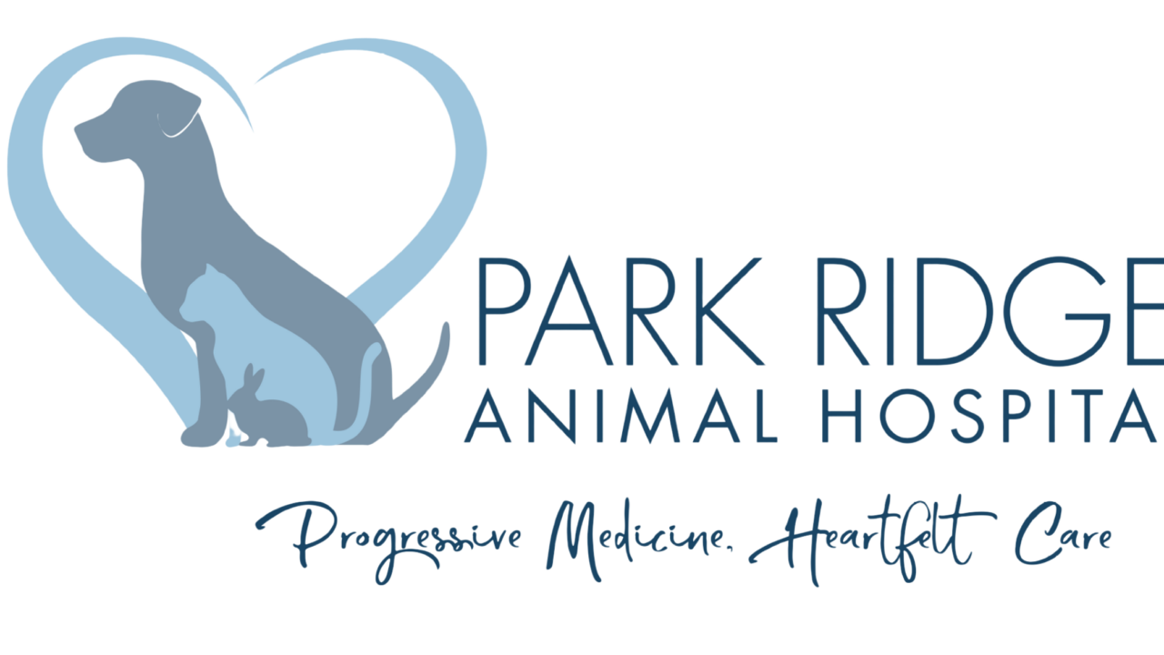 Vet Near Me Park Ridge, NJ 07656 Park Ridge Animal Hospital