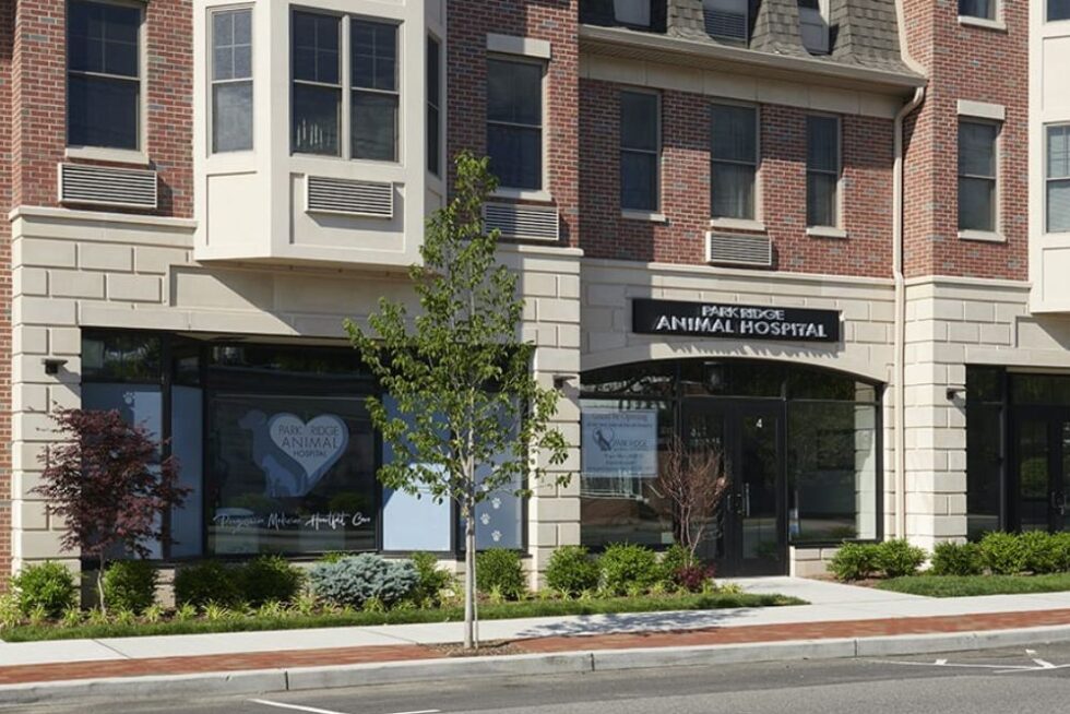 Best Vet In Park Ridge, NJ | Park Ridge Animal Hospital