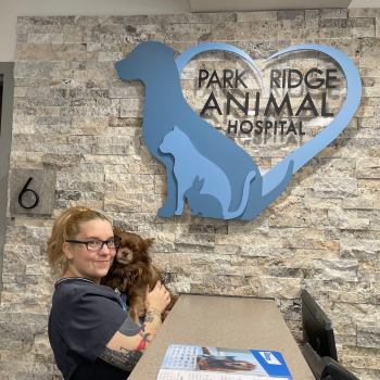 Park Ridge Animal Hospital