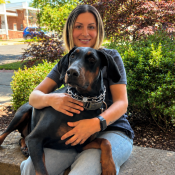 Park Ridge Animal Hospital